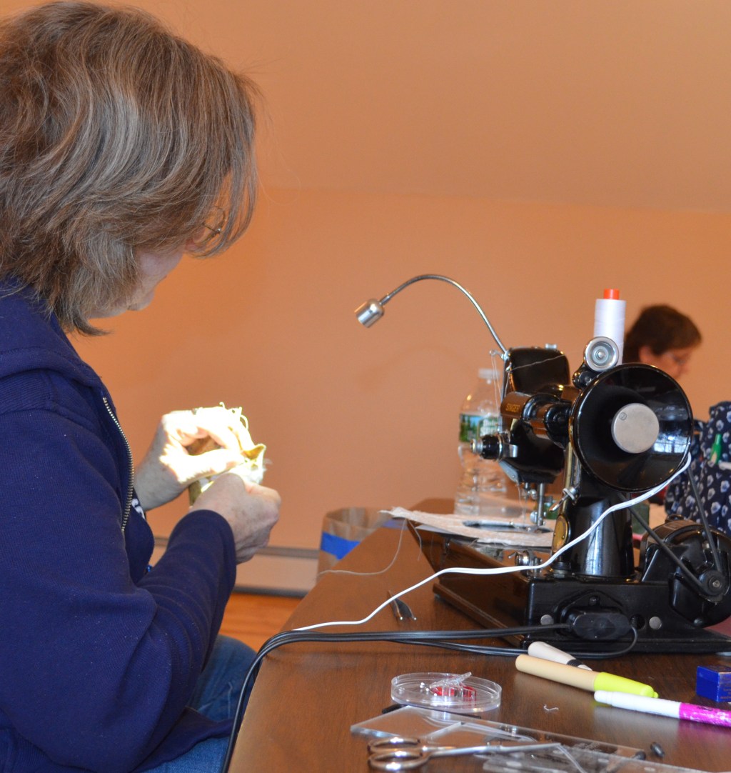 ASG April 2017 Elaine Toomey Jane Quilt