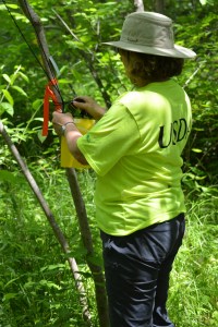 Marci Murray sets yellow card