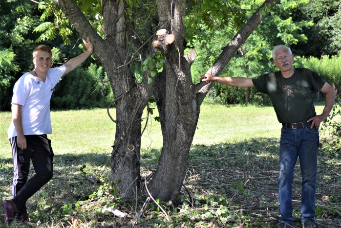 Invasives Butternut celebrate Step 8 (2)