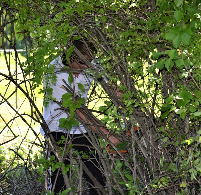 Invasives Butternut Hack Jungle step 1 (2) - Copy