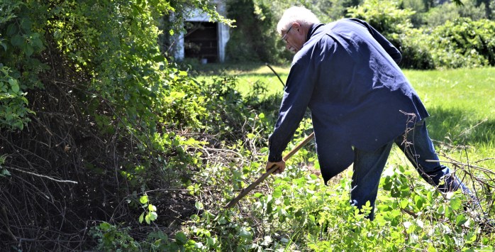 Invasives Butternut Rake Step 2 (2) - Copy