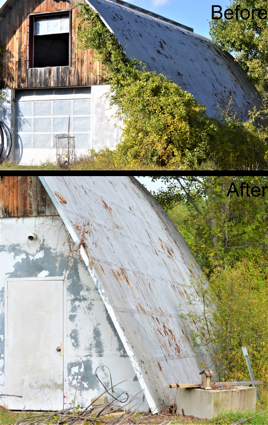 Invasives Quonset after (2)