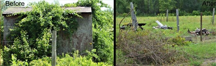 Invasives Shed before (2)