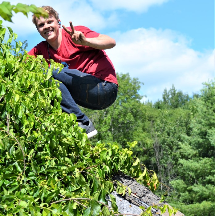 Invasives shed climb better step 3 (2) - Copy