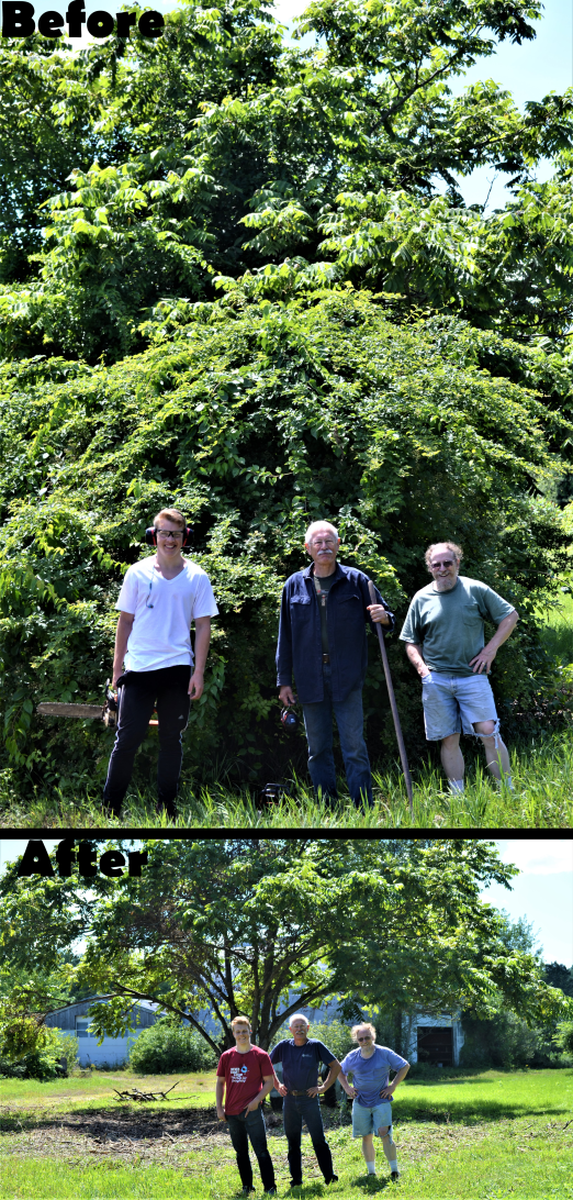 riverland side by side 2